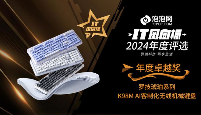 2024年度评选：年度卓越奖凯发一触即发【IT风向标】(图7)