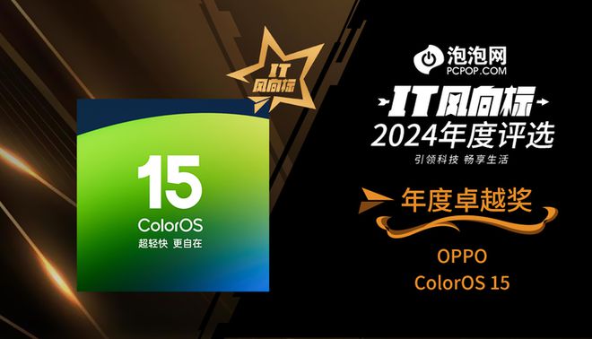2024年度评选：年度卓越奖凯发一触即发【IT风向标】(图8)