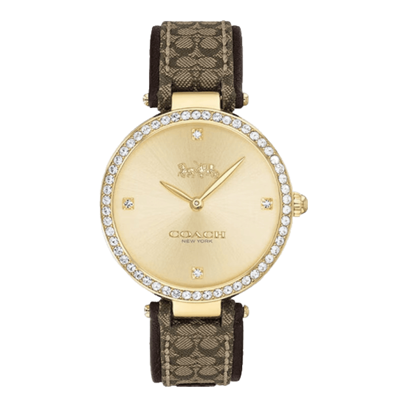 的个性增添独特魅力时尚腕表推荐：为你(图4)